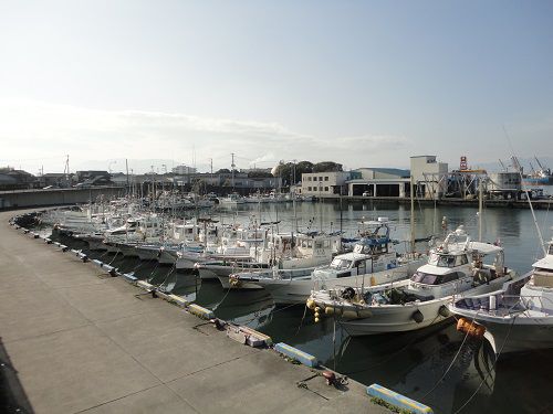 富士市の停泊しているシラス漁船の様子