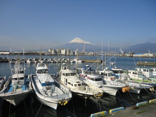 富士山ビュー：田子から富士山