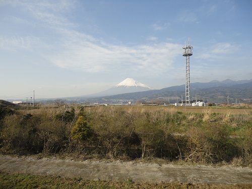 浮島ヶ原自然公園から眺めた富士山