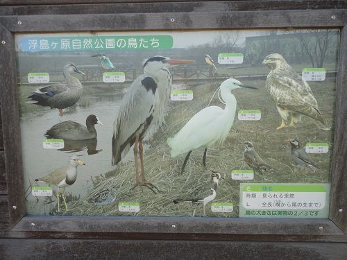 浮島ヶ原自然公園の鳥たちの看板