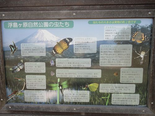 浮島ヶ原自然公園での公園の虫たちと題された案内看板