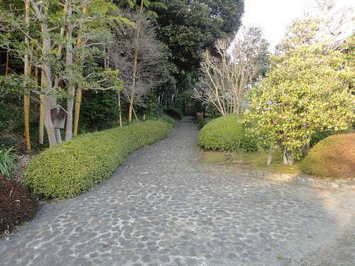 竹採公園の遊歩道