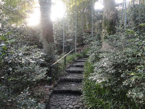 竹採公園の園内階段