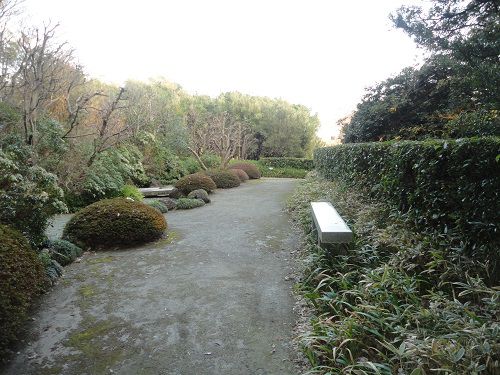 竹採公園の園内遊歩道