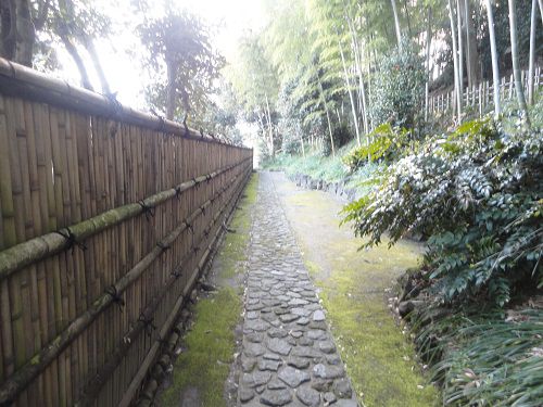 竹採公園の遊歩道（日陰）