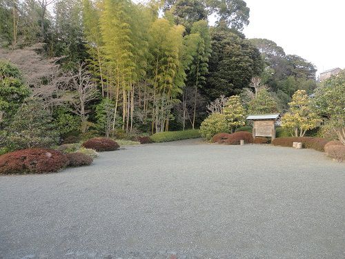 竹採公園