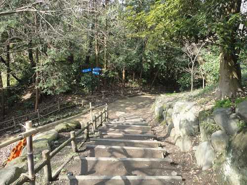 柿田川公園の自然あふれる環境
