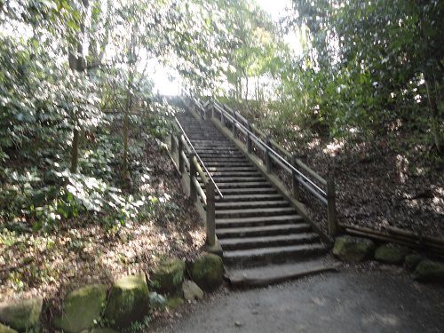柿田川公園の階段