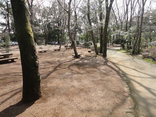 園内を五竜の滝が流れる中央公園の平坦な散策道