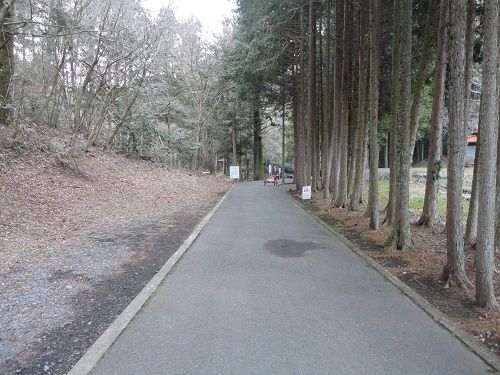 陣馬の滝への遊歩道