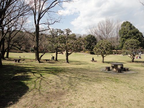 岩本山公園の芝生大広場