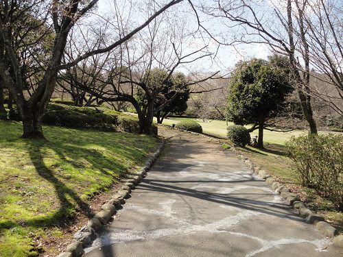 岩本山公園の園内遊歩道