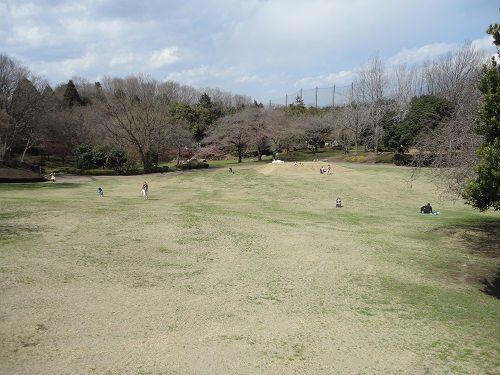 岩本山公園の芝生大広場