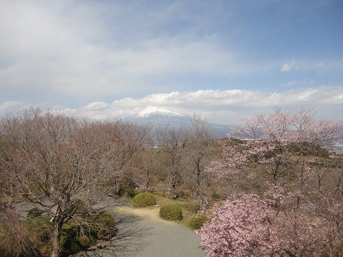 岩本山公園での雲と富士山