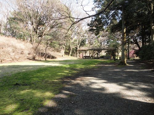 岩本山公園の平坦な遊歩道
