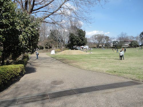 岩本山公園の遊歩道（北側が大広場）