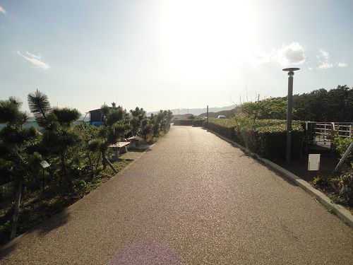 ふじのくに田子の浦みなと公園の遊歩道（西側）
