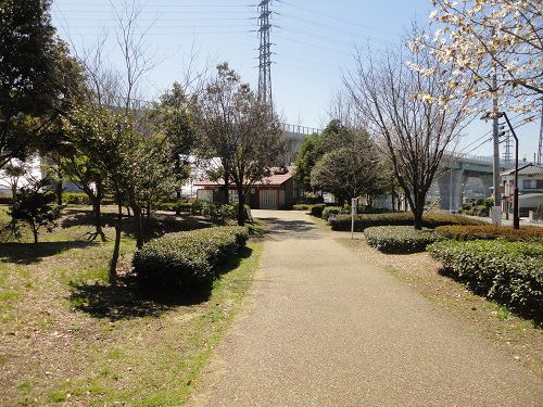 富士西公園の平坦に感じる遊歩道