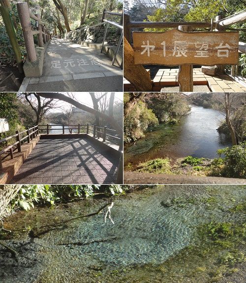 柿田川公園の第一展望台（湧水の眺め）