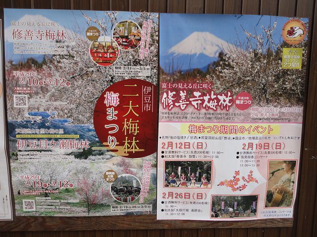 修善寺梅林の梅まつりのポスター