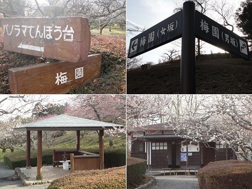 岩本山公園の梅園付近の園内トイレ、男坂と女坂への誘導看板、パノラマ展望台への看板