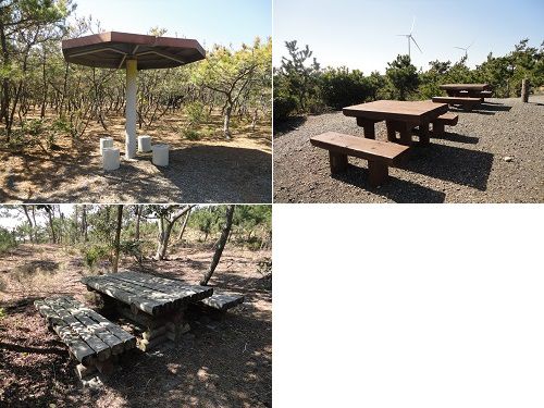 浜岡砂丘白砂公園の散策路途中にあった木のベンチをチョイスしてお伝えしています