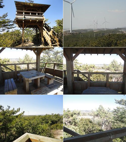 浜岡砂丘白砂公園の園内展望台から眺めた風力発電の風車などの様子