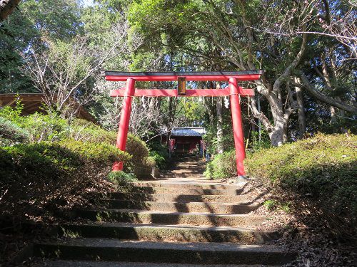 朝日稲荷神社の鳥居