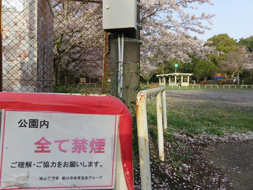菊川公園、桜【菊川市】：桜と公園内すべて禁煙表示板
