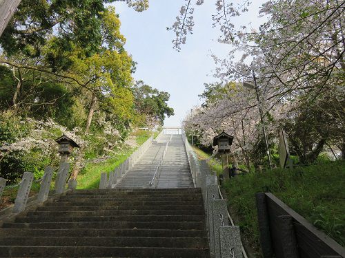 高松神社、桜【御前崎市】：急傾斜の参道階段と桜