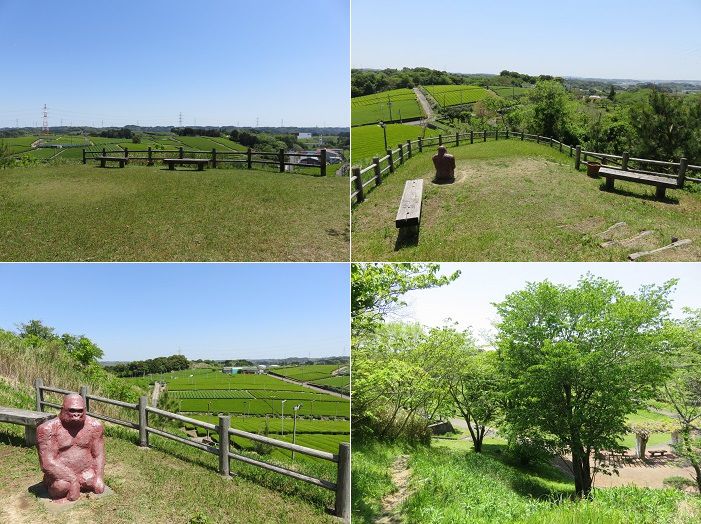 菊川中央公園、新緑【菊川市】：茶畑とゴリラ（？）のモニュメント