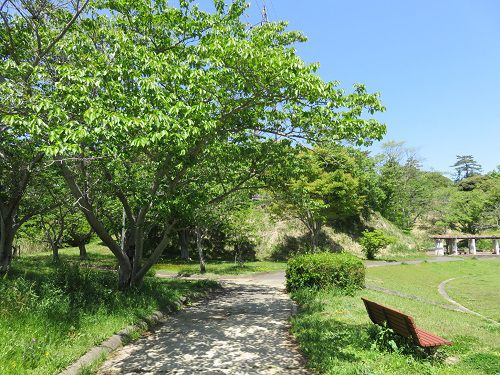 菊川中央公園、新緑【菊川市】：芝生広場周りの遊歩道