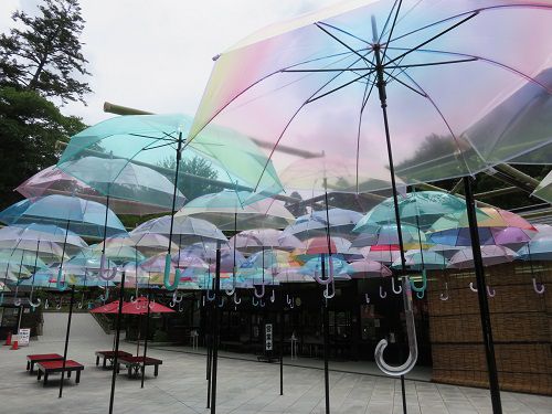 法多山、紫陽花（アジサイ）【袋井市】：曇り空と傘