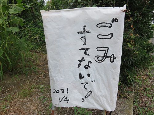 富士松岡、ひまわり畑【富士市】：ごみすてないで下さい