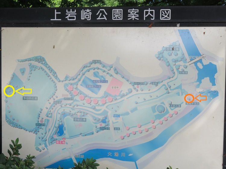 鮎止めの滝【三島市】：上岩崎公園案内図
