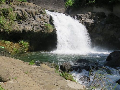 鮎止めの滝【三島市】：鮎返しの滝