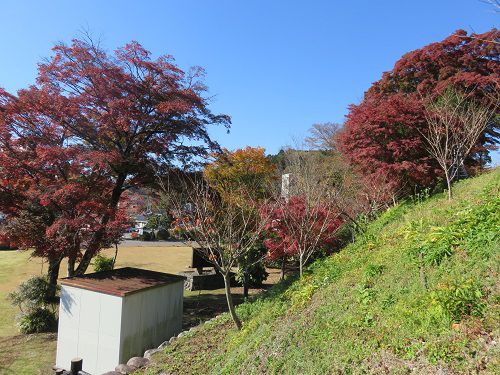 豊門公園、紅葉【小山町】：斜面と紅葉