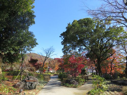 豊門公園、紅葉【小山町】：木々の緑と紅葉景色