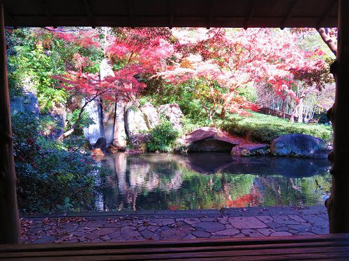 浜松城公園、紅葉【浜松市】：東屋からの紅葉景色