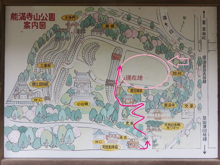 能満寺山公園、桜【吉田町】：現地案内図