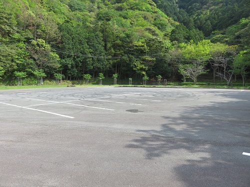 黄金崎公園付近、新緑【西伊豆町】：根合駐車場