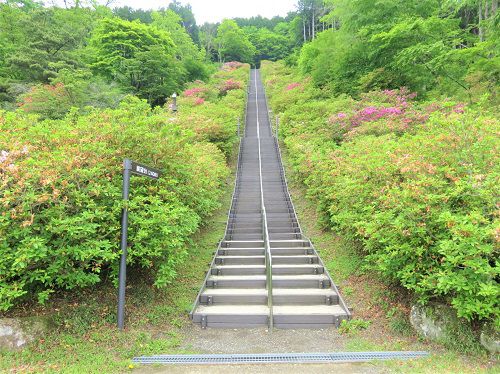 富士霊園、新緑【小山町】：展望台への階段