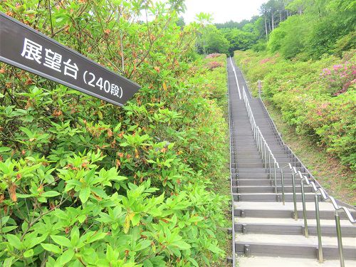 富士霊園、新緑【小山町】：２４０段の階段