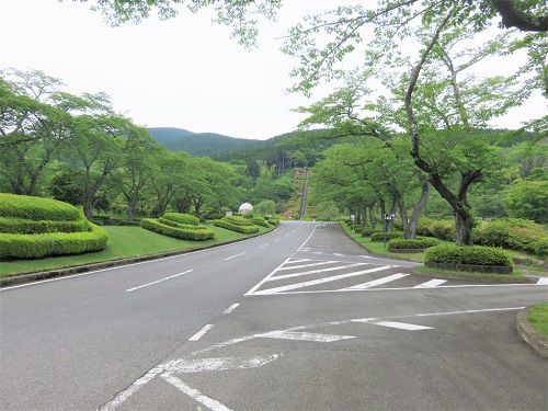 富士霊園、新緑【小山町】：道路