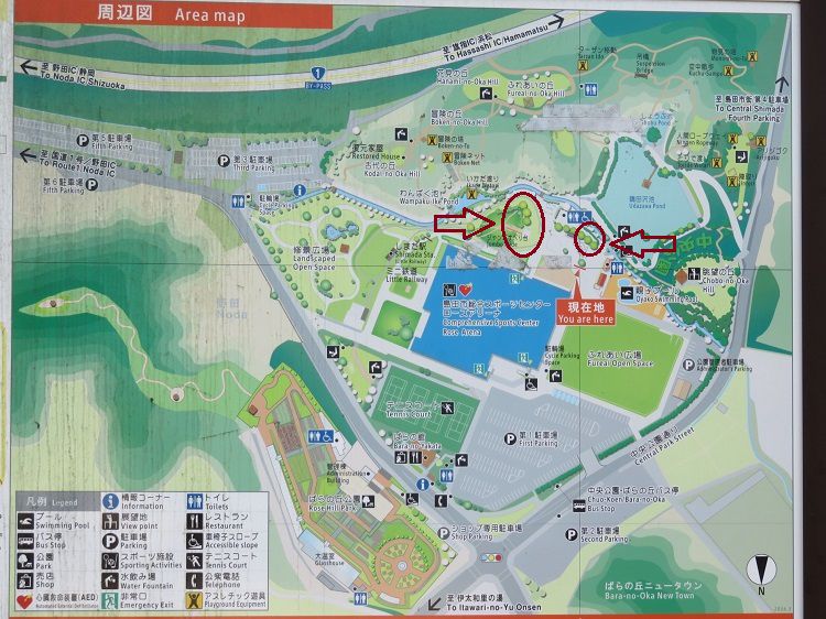 島田市中央公園、紅葉【島田市】：園内案内図