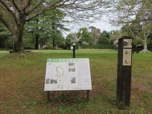 鳥羽山公園、桜【浜松市】：本丸付近