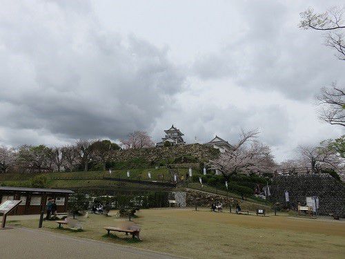 浜松城公園、桜【浜松市】：曇り空