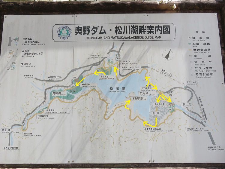 奥野ダム・松川湖畔、桜【伊東市】：現地案内図
