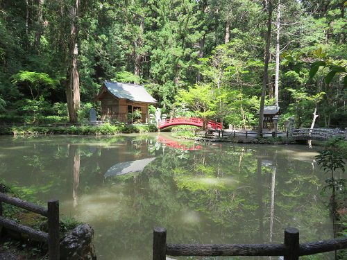 小國神社、新緑【森町】：事待池全体