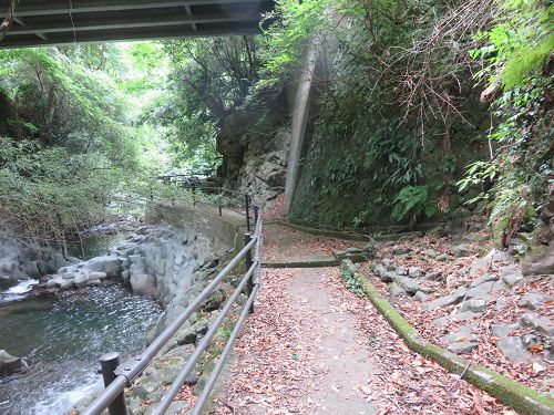 佐ヶ野川遊歩道【河津町】：三養院の滝への道のり